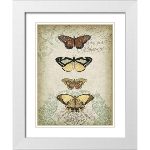 Cartouche and Butterflies I White Modern Wood Framed Art Print with Double Matting by Goldberger, Jennifer