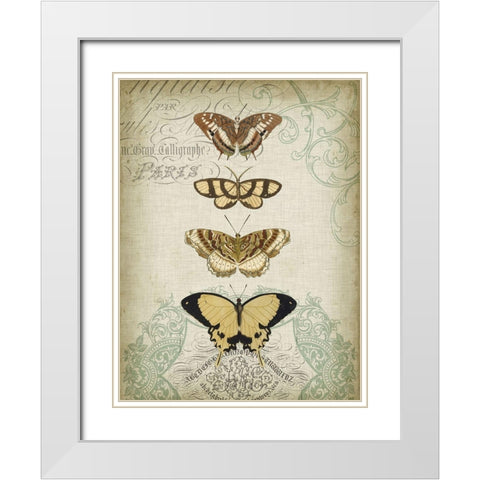 Cartouche and Butterflies II White Modern Wood Framed Art Print with Double Matting by Goldberger, Jennifer