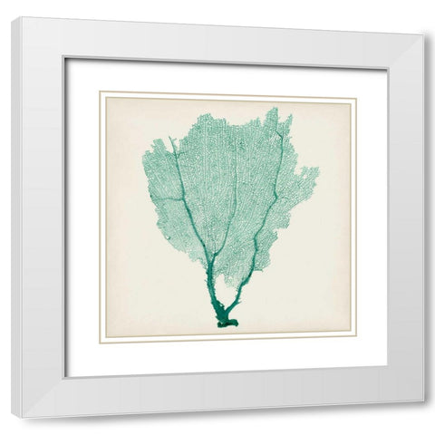 Sea Fan I White Modern Wood Framed Art Print with Double Matting by Vision Studio