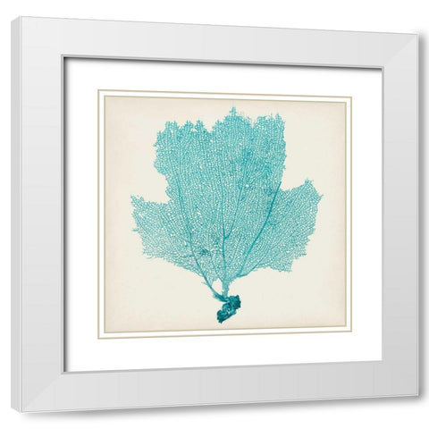 Sea Fan III White Modern Wood Framed Art Print with Double Matting by Vision Studio