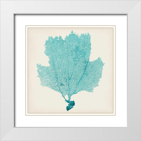 Sea Fan III White Modern Wood Framed Art Print with Double Matting by Vision Studio