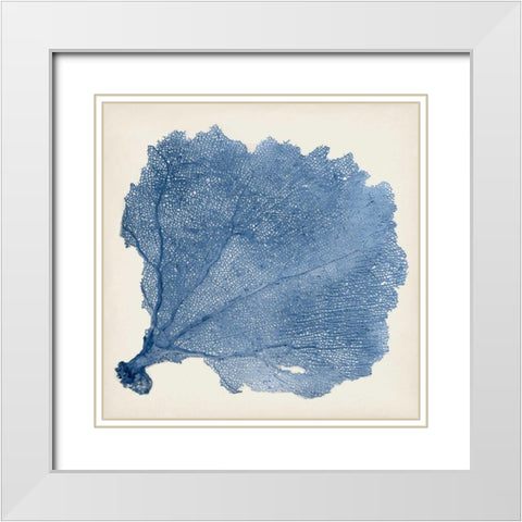 Sea Fan V White Modern Wood Framed Art Print with Double Matting by Vision Studio