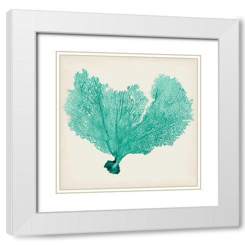 Sea Fan VI White Modern Wood Framed Art Print with Double Matting by Vision Studio