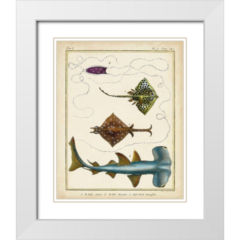 Antique Rays and Fish I White Modern Wood Framed Art Print with Double Matting by Chevillet