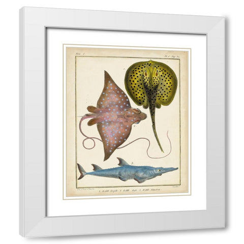 Antique Rays and Fish II White Modern Wood Framed Art Print with Double Matting by Chevillet