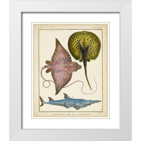 Antique Rays and Fish II White Modern Wood Framed Art Print with Double Matting by Chevillet