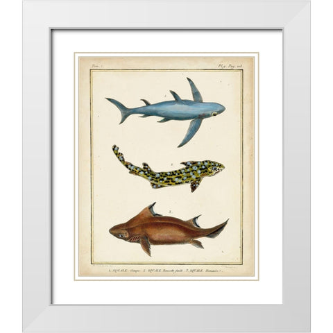 Antique Rays and Fish III White Modern Wood Framed Art Print with Double Matting by Chevillet