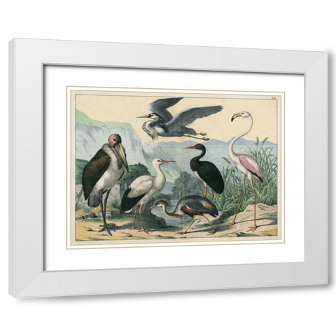 Water Guardians White Modern Wood Framed Art Print with Double Matting by Unknown