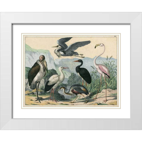 Water Guardians White Modern Wood Framed Art Print with Double Matting by Unknown