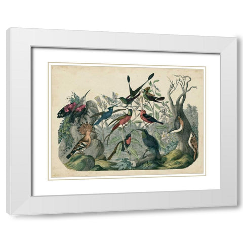 Habitat for Birds White Modern Wood Framed Art Print with Double Matting by Unknown