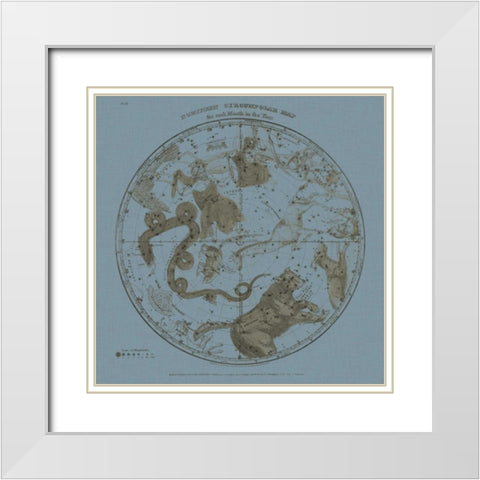 Northern Circumpolar Map White Modern Wood Framed Art Print with Double Matting by Evans, W.G.