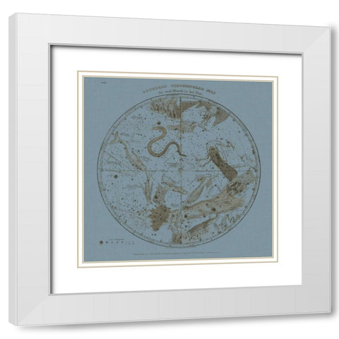 Southern Circumpolar Map White Modern Wood Framed Art Print with Double Matting by Evans, W.G.