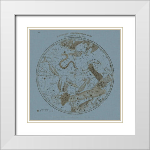 Southern Circumpolar Map White Modern Wood Framed Art Print with Double Matting by Evans, W.G.