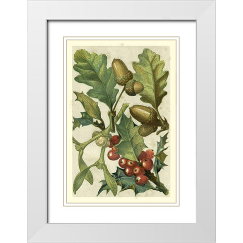Fruits and Foliage II White Modern Wood Framed Art Print with Double Matting by Vision Studio