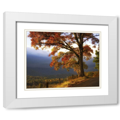 And Morning Comes White Modern Wood Framed Art Print with Double Matting by Head, Danny