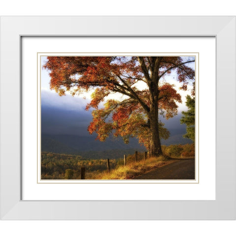 And Morning Comes White Modern Wood Framed Art Print with Double Matting by Head, Danny
