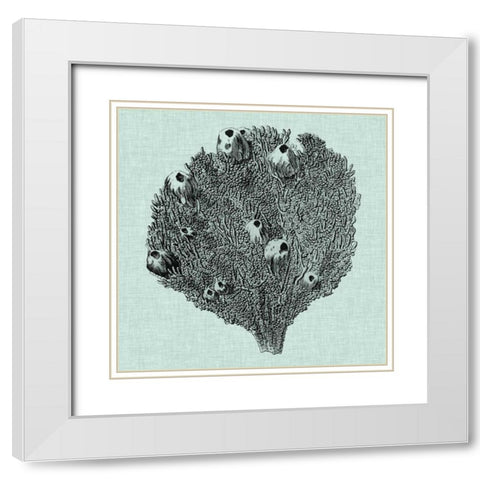 Serene Coral IV White Modern Wood Framed Art Print with Double Matting by Vision Studio