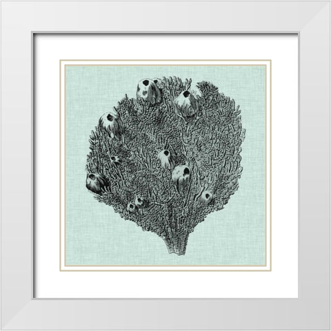 Serene Coral IV White Modern Wood Framed Art Print with Double Matting by Vision Studio