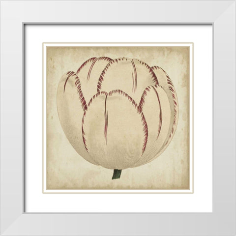 Pop Floral II White Modern Wood Framed Art Print with Double Matting by Vision Studio