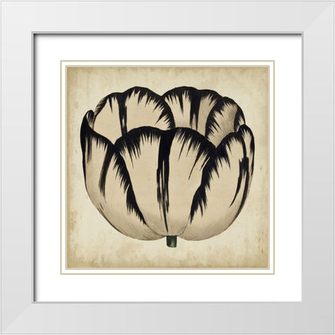 Pop Floral III White Modern Wood Framed Art Print with Double Matting by Vision Studio