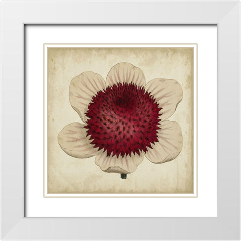 Pop Floral IV White Modern Wood Framed Art Print with Double Matting by Vision Studio