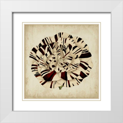 Pop Floral V White Modern Wood Framed Art Print with Double Matting by Vision Studio