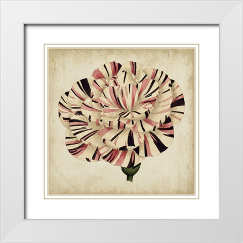 Pop Floral VI White Modern Wood Framed Art Print with Double Matting by Vision Studio
