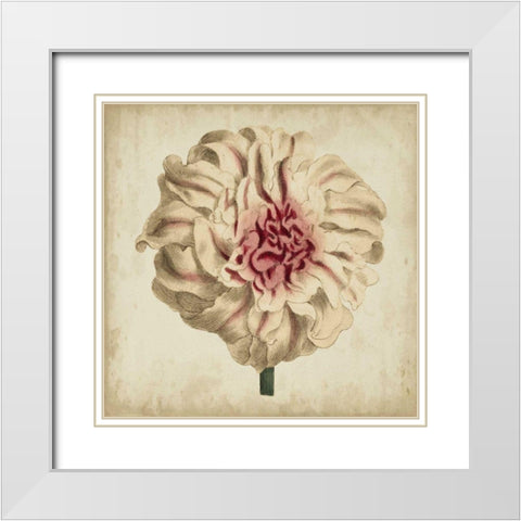 Pop Floral VII White Modern Wood Framed Art Print with Double Matting by Vision Studio