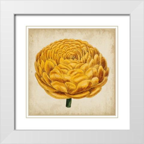 Pop Floral VIII White Modern Wood Framed Art Print with Double Matting by Vision Studio