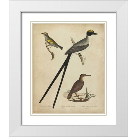 Bonapart Birds III White Modern Wood Framed Art Print with Double Matting by Charles L. Bonapart