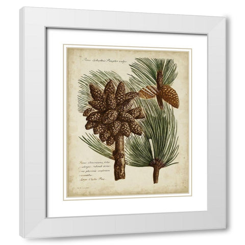 Antique Conifers I White Modern Wood Framed Art Print with Double Matting by Fletcher, Henry