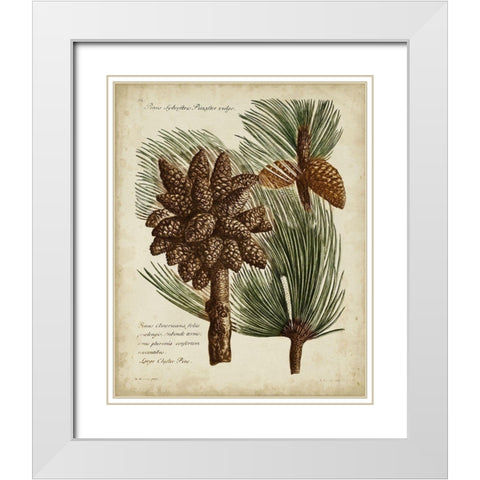 Antique Conifers I White Modern Wood Framed Art Print with Double Matting by Fletcher, Henry
