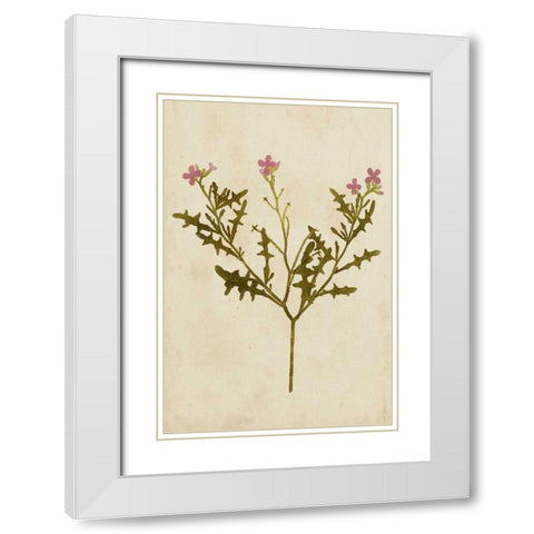 Botanical Impression IV White Modern Wood Framed Art Print with Double Matting by Unkown