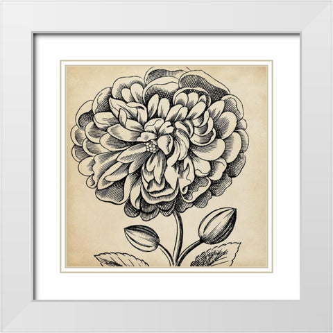 Graphic Floral V White Modern Wood Framed Art Print with Double Matting by Vision Studio