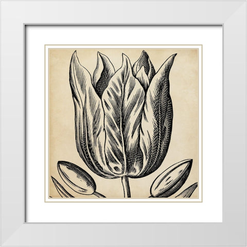Graphic Floral VIII White Modern Wood Framed Art Print with Double Matting by Vision Studio