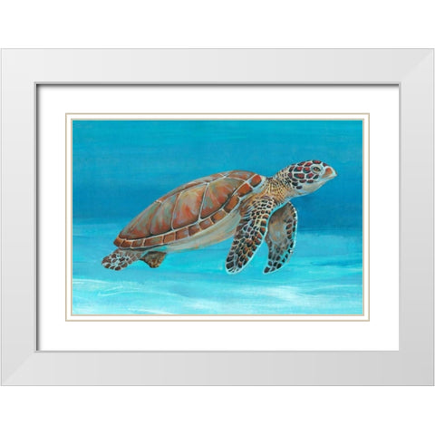 Ocean Sea Turtle I White Modern Wood Framed Art Print with Double Matting by OToole, Tim
