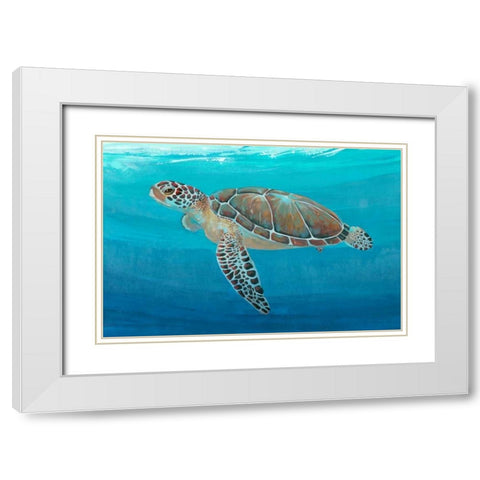 Ocean Sea Turtle II White Modern Wood Framed Art Print with Double Matting by OToole, Tim