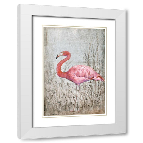 American Flamingo II White Modern Wood Framed Art Print with Double Matting by OToole, Tim