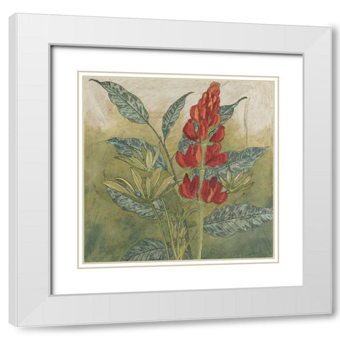 Crimson Tropical II White Modern Wood Framed Art Print with Double Matting by Meagher, Megan