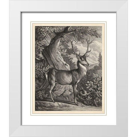 Woodland Deer I White Modern Wood Framed Art Print with Double Matting by Ridinger
