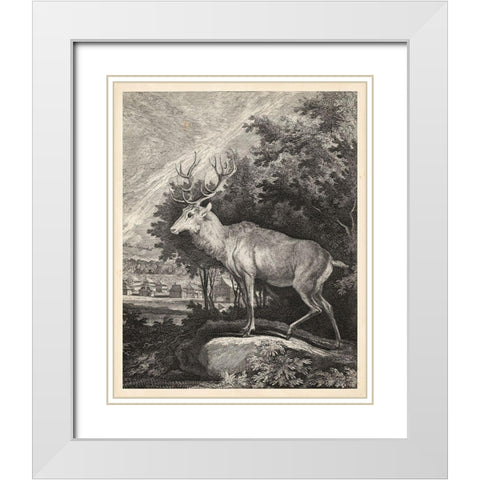 Woodland Deer II White Modern Wood Framed Art Print with Double Matting by Ridinger