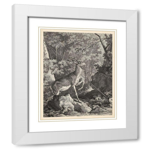 Woodland Deer VII White Modern Wood Framed Art Print with Double Matting by Ridinger
