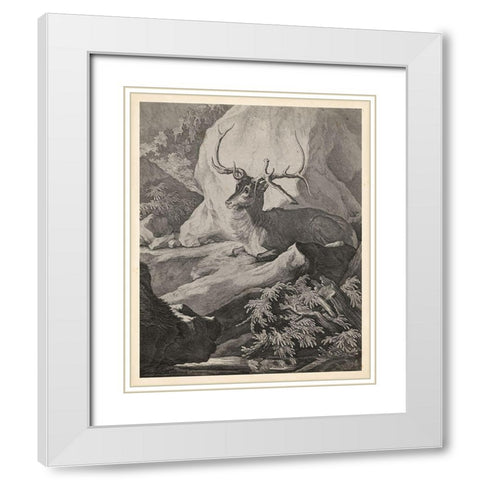 Woodland Deer VIII White Modern Wood Framed Art Print with Double Matting by Ridinger