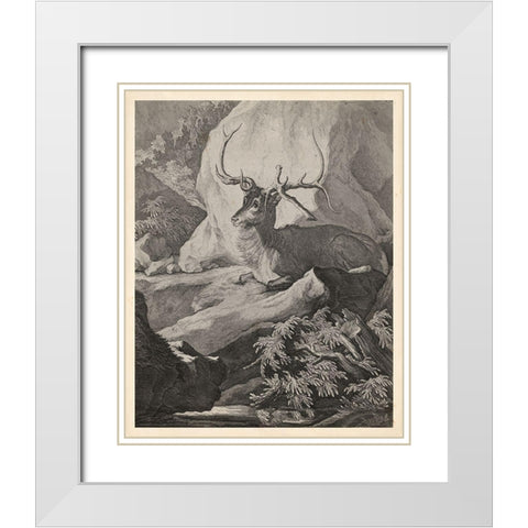 Woodland Deer VIII White Modern Wood Framed Art Print with Double Matting by Ridinger