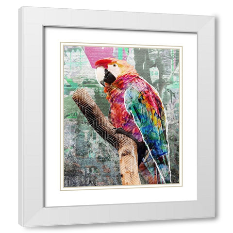 Pop Art - Parrot White Modern Wood Framed Art Print with Double Matting by Inner Circle