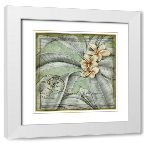 Postmark Tropicals I White Modern Wood Framed Art Print with Double Matting by Goldberger, Jennifer