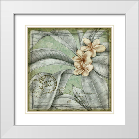 Postmark Tropicals I White Modern Wood Framed Art Print with Double Matting by Goldberger, Jennifer