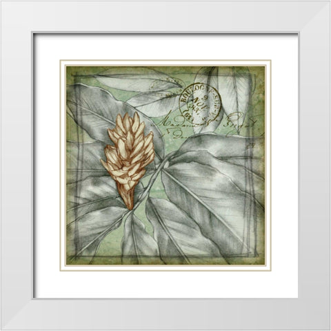 Postmark Tropicals II White Modern Wood Framed Art Print with Double Matting by Goldberger, Jennifer