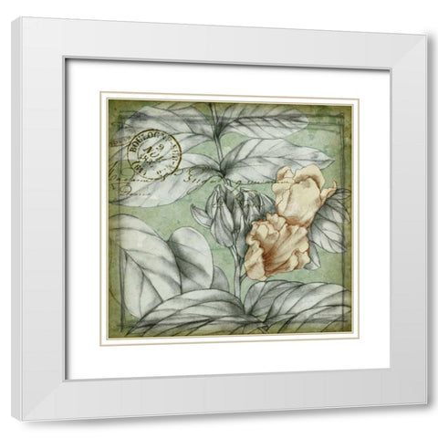 Postmark Tropicals III White Modern Wood Framed Art Print with Double Matting by Goldberger, Jennifer