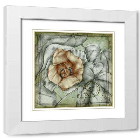 Postmark Tropicals IV White Modern Wood Framed Art Print with Double Matting by Goldberger, Jennifer